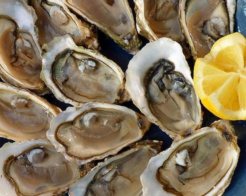 Le Calme A Deux Pas Du Port De Seteアパートメント エクステリア 写真